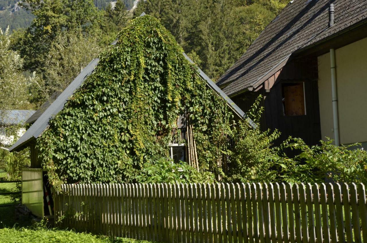 Haus Rosina Villa Admont Exteriör bild