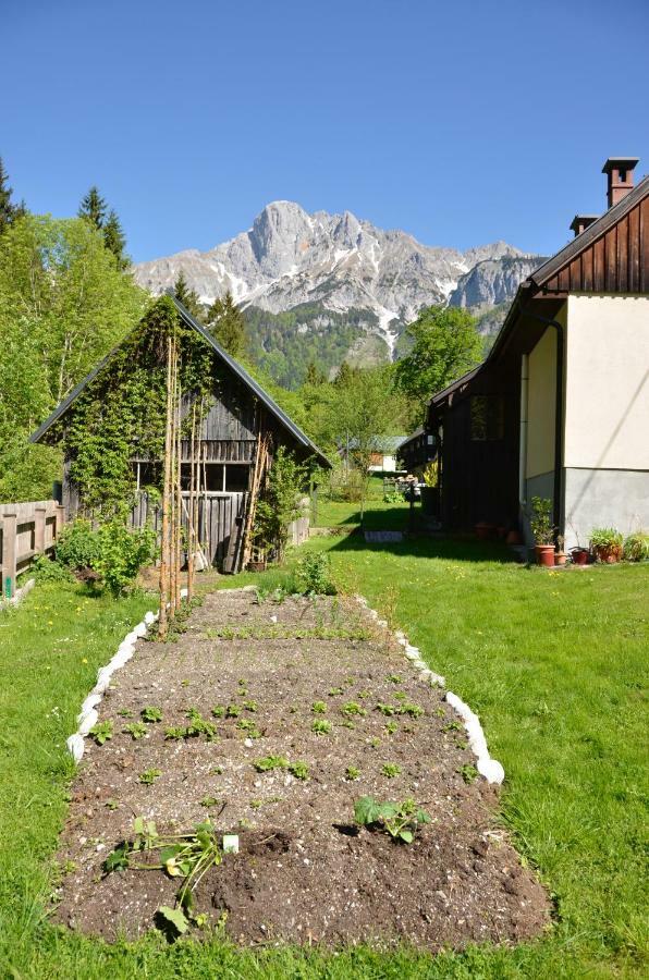 Haus Rosina Villa Admont Exteriör bild