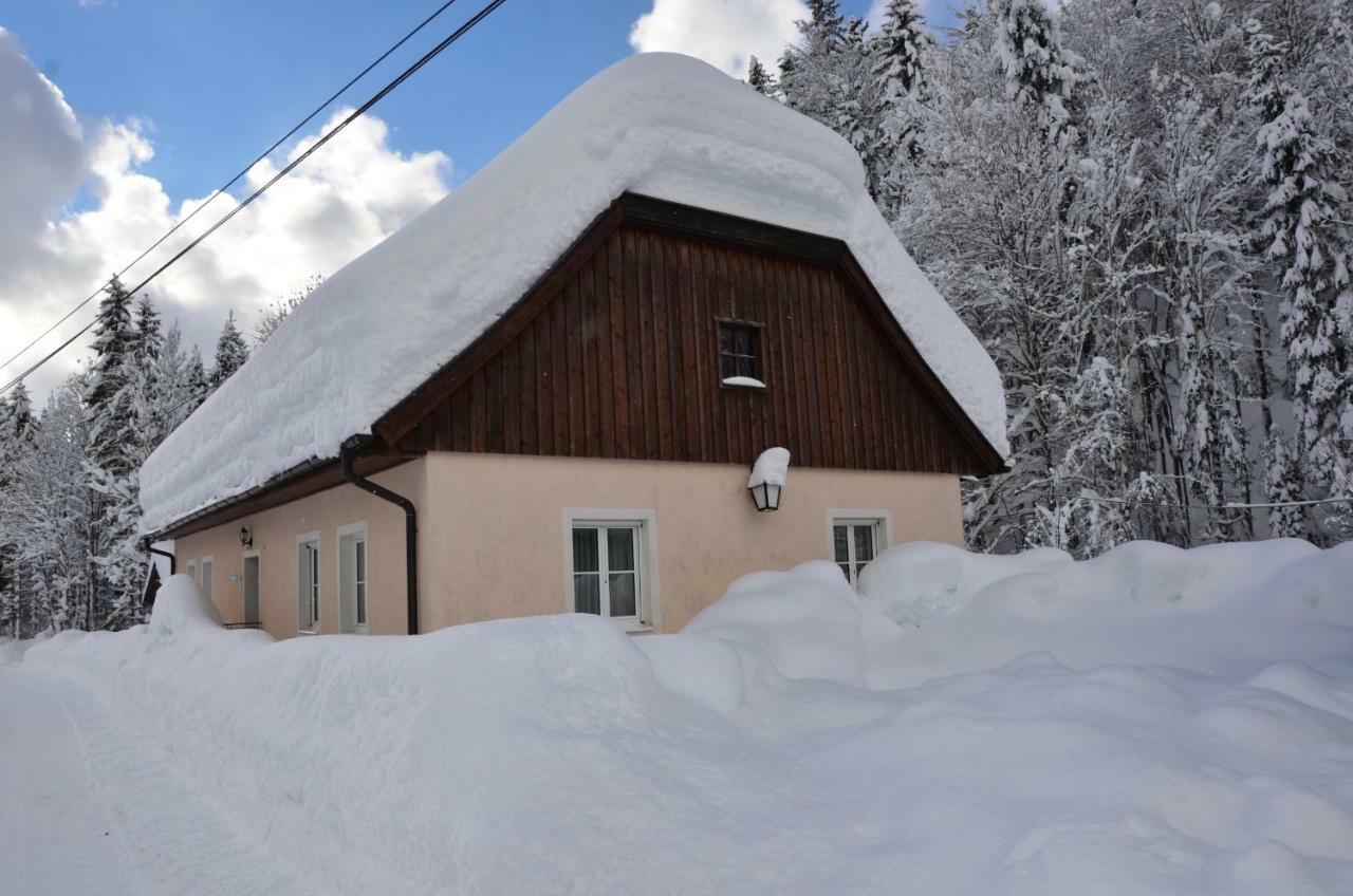 Haus Rosina Villa Admont Exteriör bild